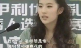 刘亦菲爆料整容了吗视频,揭秘明星美容秘密