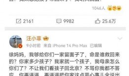 汪小菲微博爆料视频最新,揭秘背后惊人真相！